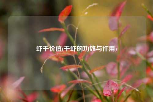 虾干价值(干虾的功效与作用)