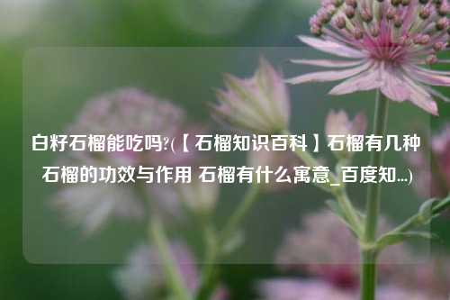 白籽石榴能吃吗?(【石榴知识百科】石榴有几种 石榴的功效与作用 石榴有什么寓意_百度知...)
