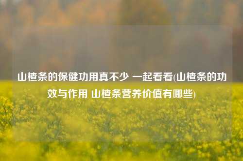 山楂条的保健功用真不少 一起看看(山楂条的功效与作用 山楂条营养价值有哪些)