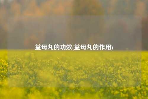 益母丸的功效(益母丸的作用)