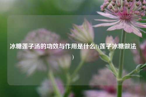 冰糖莲子汤的功效与作用是什么?(莲子冰糖做法)