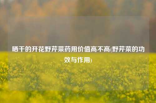 晒干的开花野芹菜药用价值高不高(野芹菜的功效与作用)