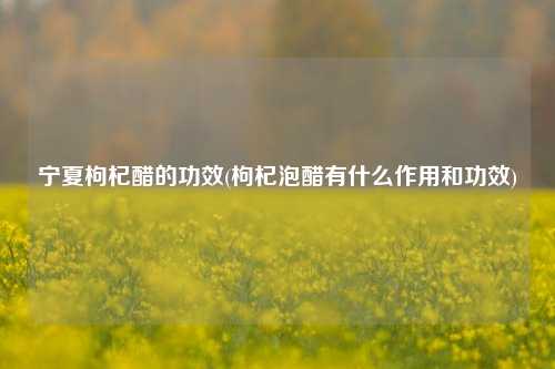 宁夏枸杞醋的功效(枸杞泡醋有什么作用和功效)