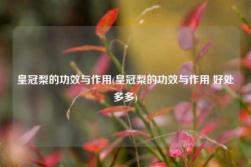 皇冠梨的功效与作用(皇冠梨的功效与作用 好处多多)