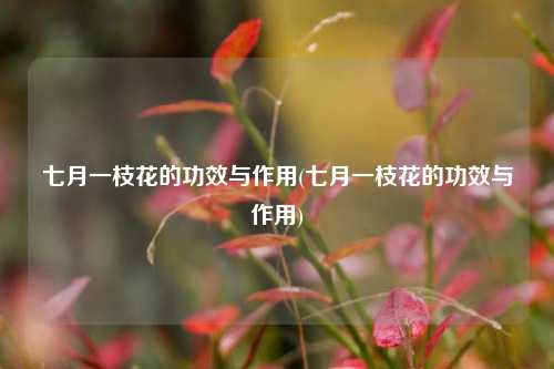 七月一枝花的功效与作用(七月一枝花的功效与作用)