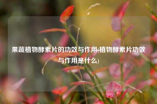 果蔬植物酵素片的功效与作用(植物酵素片功效与作用是什么)