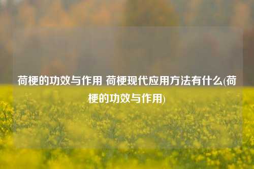 荷梗的功效与作用 荷梗现代应用方法有什么(荷梗的功效与作用)
