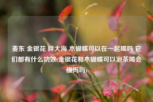 麦东 金银花 胖大海 木蝴蝶可以在一起喝吗 它们都有什么功效(金银花和木蝴蝶可以泡茶喝会腹泻吗)