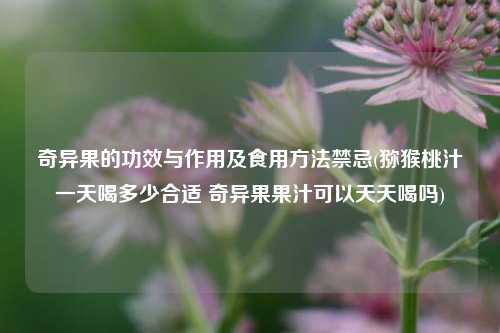 奇异果的功效与作用及食用方法禁忌(猕猴桃汁一天喝多少合适 奇异果果汁可以天天喝吗)